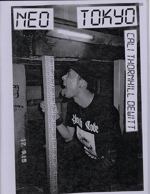 Cali Thornhill DeWitt_CTD Zine Scans